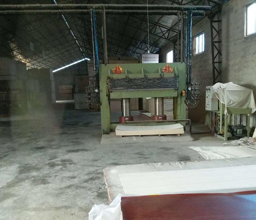 厂家供应 免漆生态门板木皮贴面门板防火门板PVC贴面门板