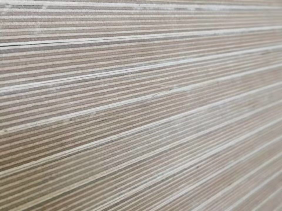 厂家直供 多层板可定z 全桦多层板 胶合板 宿舍床板